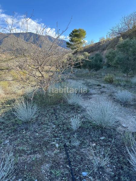Foto cfc5b841-fa0f-4e36-a68c-c968d6c81463. Landgut in polígono 13 parcela 750 in Vélez de Benaudalla