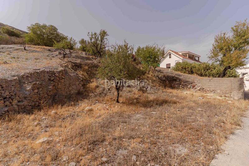 Foto ddbdac6c-40e4-4eac-ab2e-62fe5a8eae49. Wohngrundstück in calle correos in Gualchos