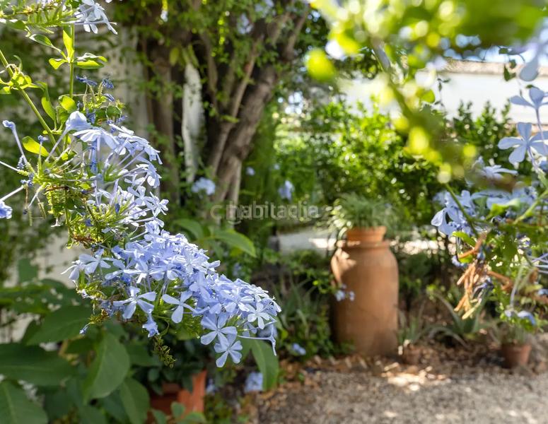 Foto ed6b5b9d-36af-4ce6-a423-513b6425ece8. Casa a calle molinos a San Matías - Realejo Granada