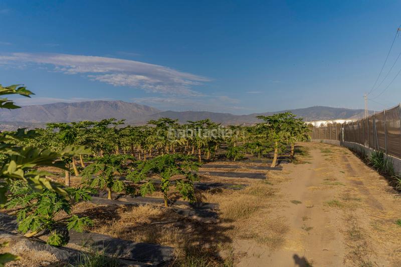 Foto 3e046be8-7124-495e-98dd-276fb28a02a8. Landgut in camino patria in Playa de Granada Motril