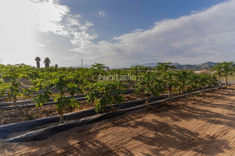 Foto 9e063923-facd-4d31-aaf3-a245301202fd. Landgut in camino patria in Playa de Granada Motril