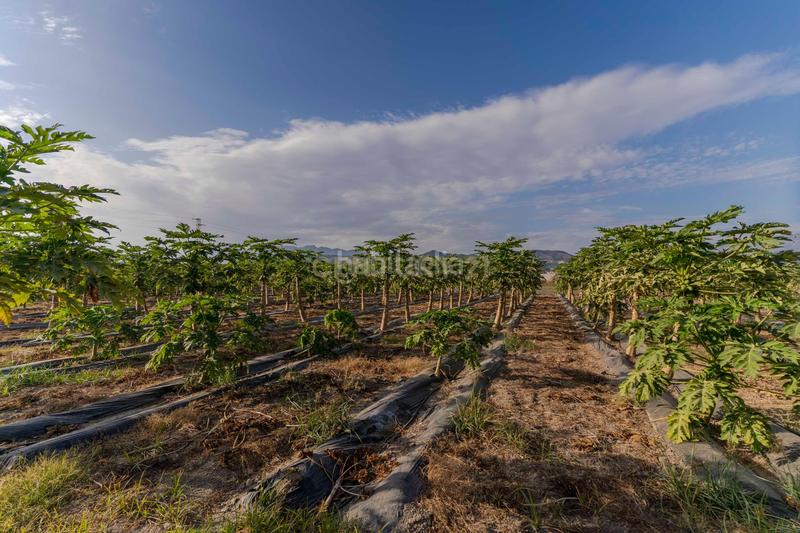 Foto a6d8c6d3-bd5d-433c-9596-99da6d85a2a0. Landgut in camino patria in Playa de Granada Motril