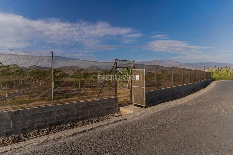Foto c2925e37-c6dd-4854-bbd5-ebc7cda4c48c. Landgut in camino patria in Playa de Granada Motril