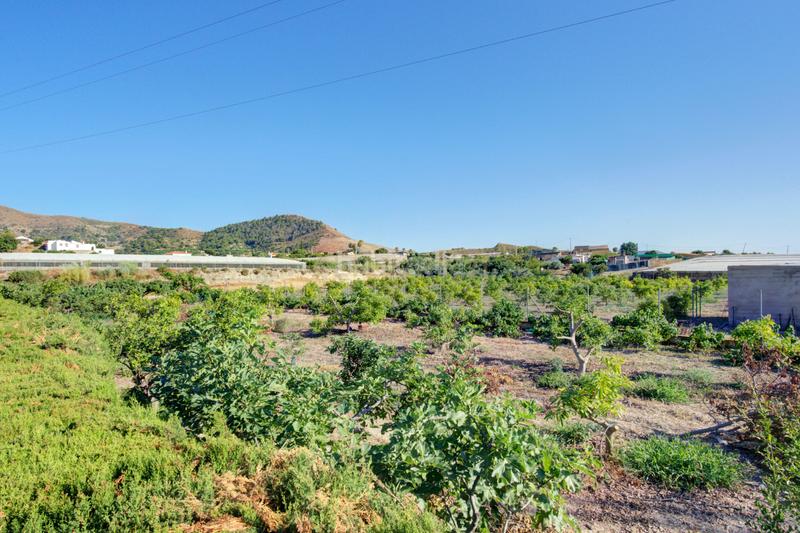 Foto 168e0924-5642-471b-8323-44fb23926164. Casa in la garnatilla in Los Tablones - La Garnatilla Motril