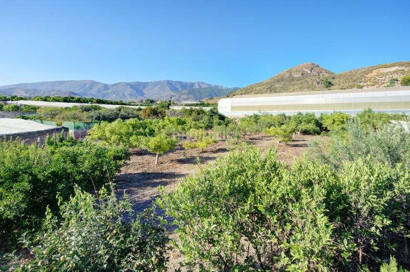 Foto 3159a45a-15d0-443e-ae3b-d7176968f88a. Casa in la garnatilla in Los Tablones - La Garnatilla Motril