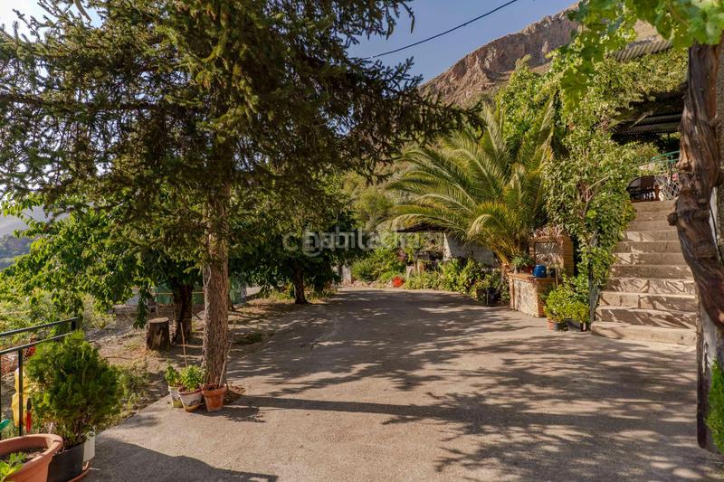 Foto 217449e6-ecd4-4814-bf0f-6bc8bc44917f. Casa a carretera de maitena a Güéjar Sierra