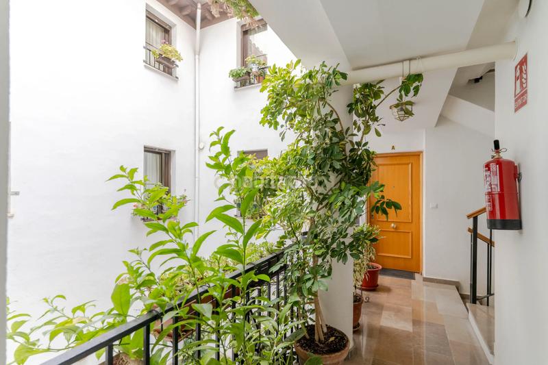 Foto 4a18b8d9-3efe-4d32-b4b0-218b61431a32. Duplex in calle loarte in Centro - Sagrario Granada