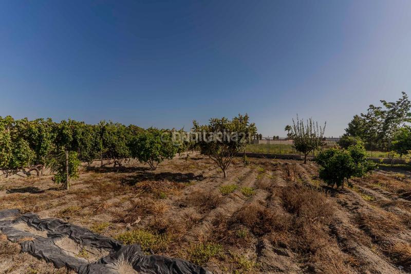 Foto 294ee5b2-1032-49bb-864a-8ce998c28cd8. Casa in rambla de las brujas in Motril ciudad Motril