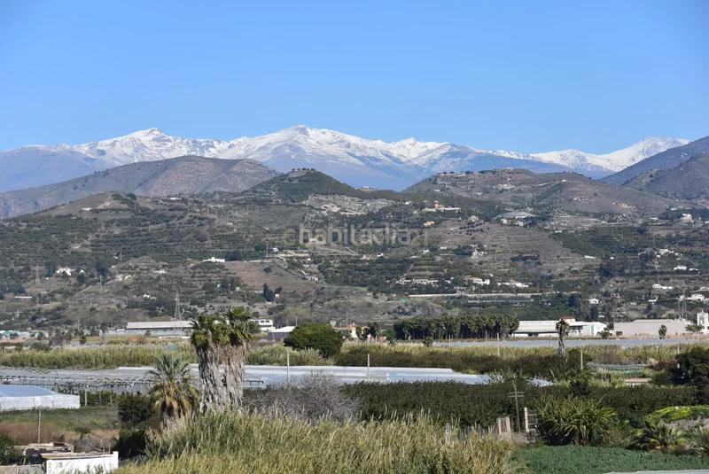 Foto 296ea1a7-e553-49c5-99a3-0eae9607483f. Ático en c. rector mayor zaragoza 19 impresionante ático en playa granada en Motril