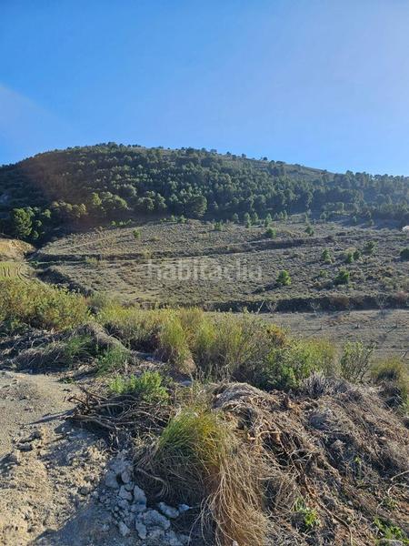 Foto 9a4f90a5-27f7-4a49-9e81-eecfda88c635. Terreno residenziale in calle veleta s/n in Dílar