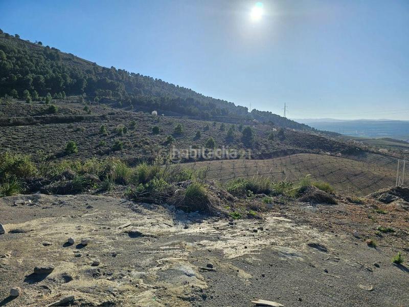 Foto cebbc824-b260-4344-8447-f8e3f3ed906b. Terreno residenziale in calle veleta s/n in Dílar