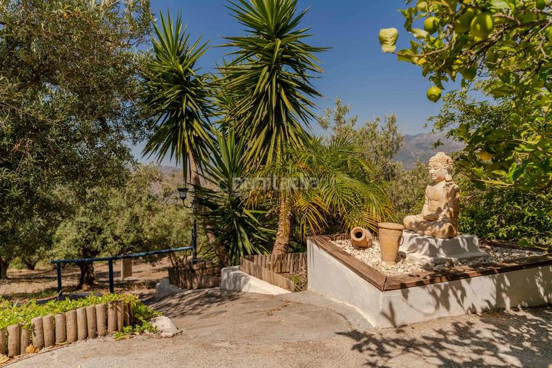 Foto 97e5053a-88d0-42a3-b43c-c4f2b6c30481. House in poligono 1 parcela 154 1 in Ítrabo