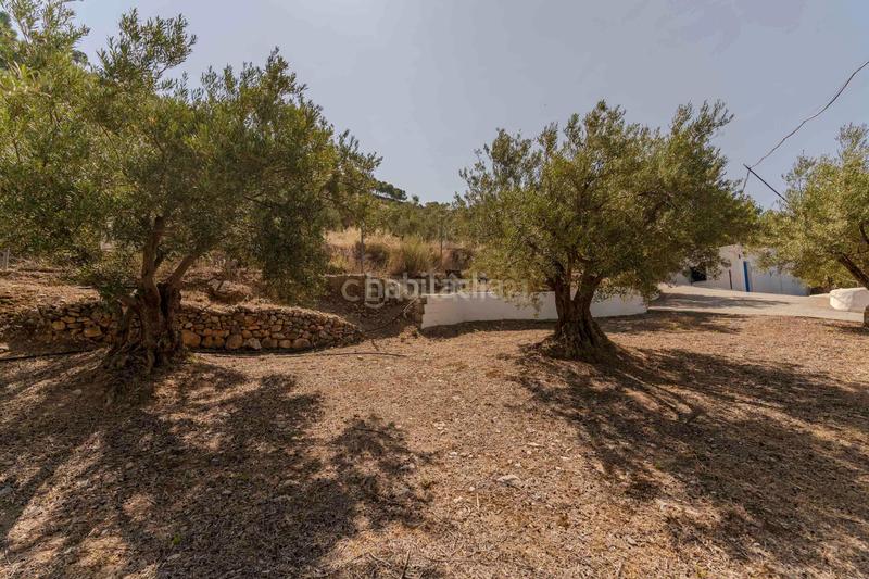 Foto cc48b8b2-582a-4c59-a168-2db3e1510709. House in poligono 1 parcela 154 1 in Ítrabo