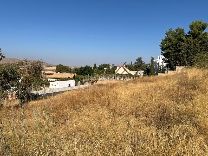 Foto 40779491-0e6e-4e77-b921-8674d9918dfb. Wohngrundstück in c/ c1 56 in Padul