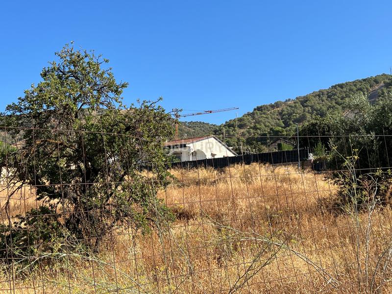 Foto 4f3965a1-c20d-44b8-aa35-df6856cc55a3. Wohngrundstück in c/ c1 56 in Padul