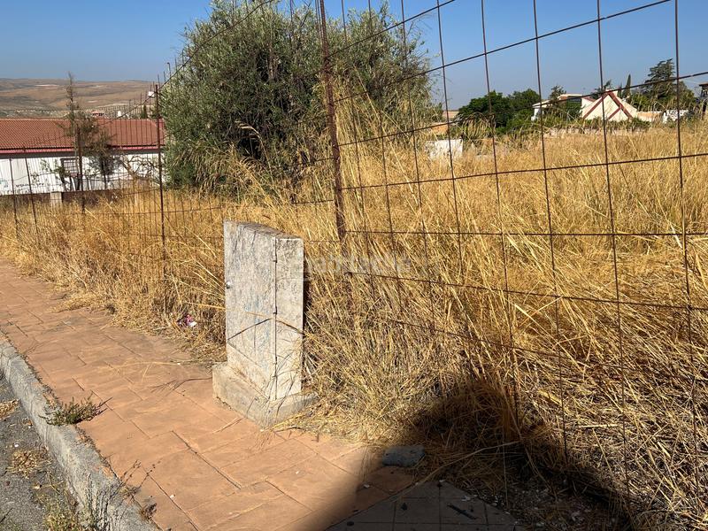 Foto 54c1193d-70f5-4a95-9803-8f181af7e6fa. Wohngrundstück in c/ c1 56 in Padul