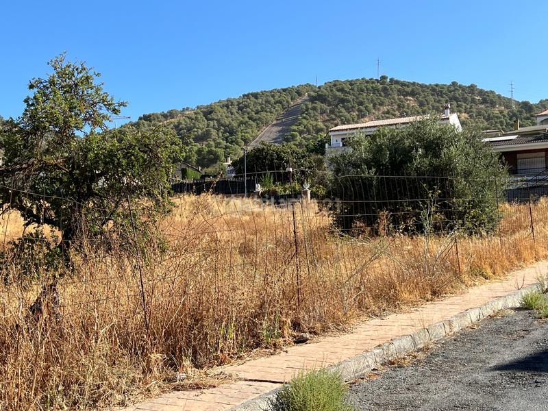 Foto e7184875-9ab4-46aa-a966-411a15cfab54. Wohngrundstück in c/ c1 56 in Padul