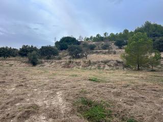 Landgut in Carril de velez, molvízar, spain poligono, 3 parcela, 971. Terreno en la zona de la rijana los palmares molvízar.