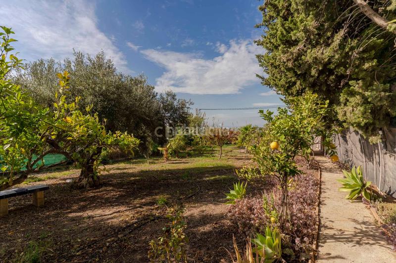 Foto 97692df9-6361-44d1-a8e0-8a4717a674b3. Casa in la garnatilla p7 in Los Tablones - La Garnatilla Motril