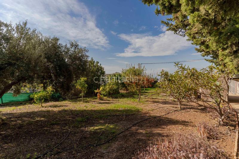 Foto de133891-76ce-4df5-8d1a-59ace1692156. Casa in la garnatilla p7 in Los Tablones - La Garnatilla Motril