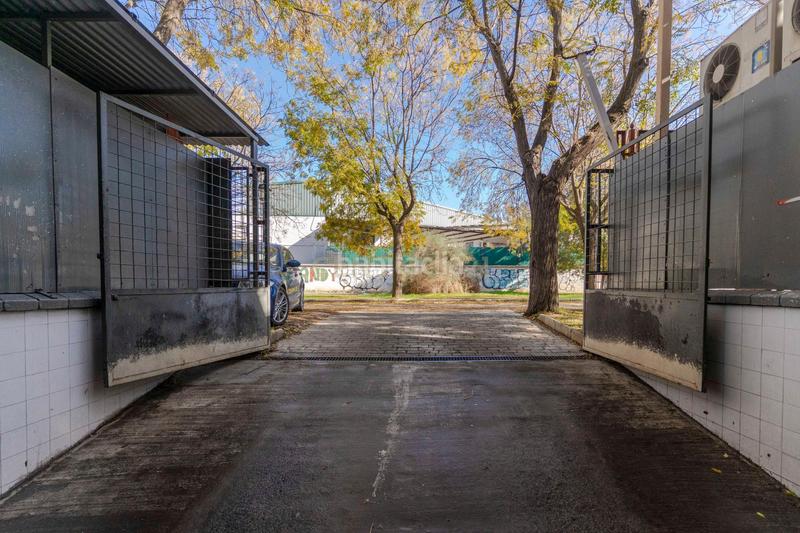 Foto 202155d5-cd89-432f-80d1-e78e2baad6ee. Geschäftsraum in calle comercio in Angustias - Chana - Encina Granada