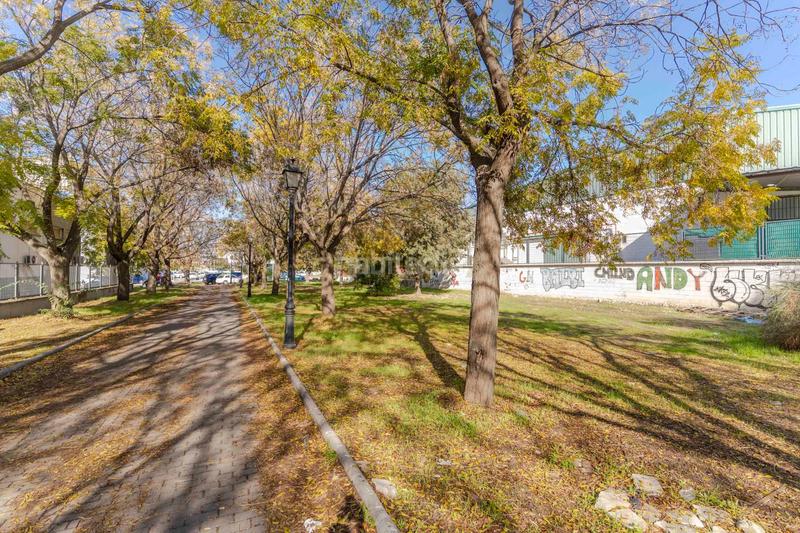 Foto 3a835522-4c0a-48c2-815a-0b9a0c90aec7. Geschäftsraum in calle comercio in Angustias - Chana - Encina Granada