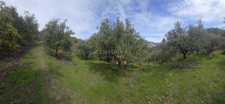 Finca rústica a Polígono 11 Parcela 307 EL CERRILLAR. LOS GUAJARES (GRANADA)