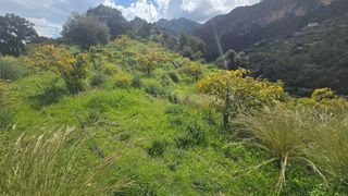 Finca rústica a Polígono 11 Parcela 110 EL CERRILLAR. LOS GUAJARES (GRANADA)