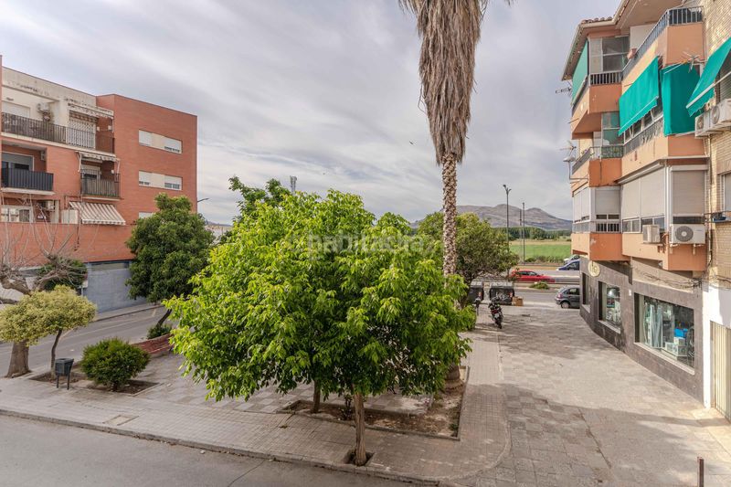 Foto b91fcb1c-1ba0-48d1-8118-347847a8f6b9. Edifici a cl cristobal halffter 14Santa Fe (granada) 14 a Santa Fe