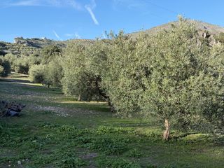 Finca rústica a 8536+FQ Algarra sales, Spain