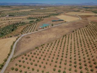 Finca rústica a 6rjr+fj, 18518, granada, spain. Excepcional conjunto de fincas en cogollos de guadix