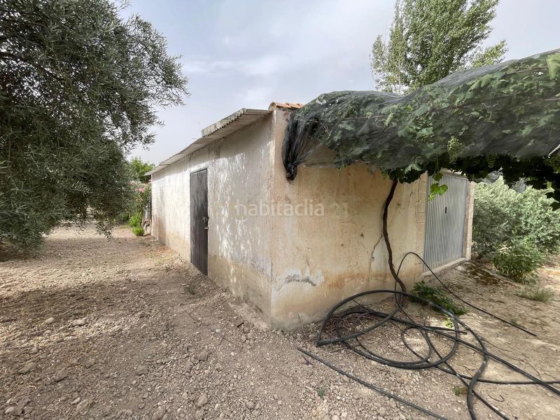 Foto 08a94fd3-507c-4c01-a75d-041ba2a729df. Finca rústica a 18260 Íllora a Íllora