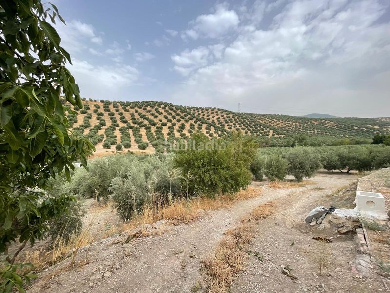 Foto 229d45e1-247c-4b88-b1d2-3de8d0ebaad3. Finca rústica a 18260 Íllora a Íllora