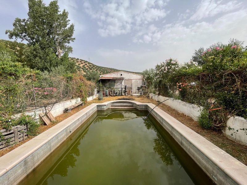 Foto 5e8472de-8952-4524-9a31-9261368082ef. Finca rústica a 18260 Íllora a Íllora