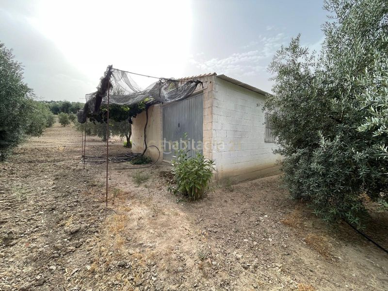 Foto 69d537c9-02e3-44e9-b191-52bcfcf711dd. Finca rústica a 18260 Íllora a Íllora