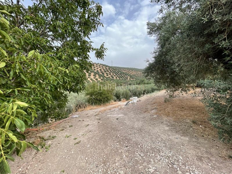 Foto 710252da-a895-4771-a6dc-99f0c59594d3. Finca rústica a 18260 Íllora a Íllora