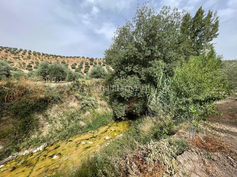 Foto 93fb6538-7c0b-400c-8859-c0f8f86466bb. Finca rústica a 18260 Íllora a Íllora