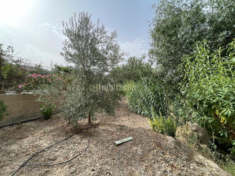 Foto e2cebb96-7026-4bb4-92e0-fecdd9f32016. Finca rústica a 18260 Íllora a Íllora