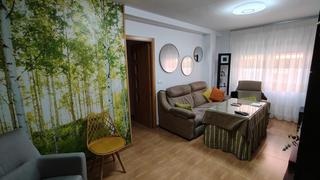 Piso en Santa Rosa - Valdeolleros