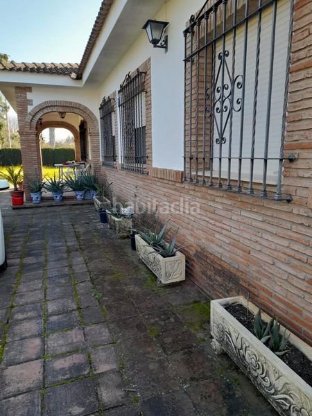 Foto 51bd69de-5887-477c-9f6d-c5a45e589c1e. Casa amb piscina a Poniente-Norte - Miralbaida - Parque Azahara Córdoba