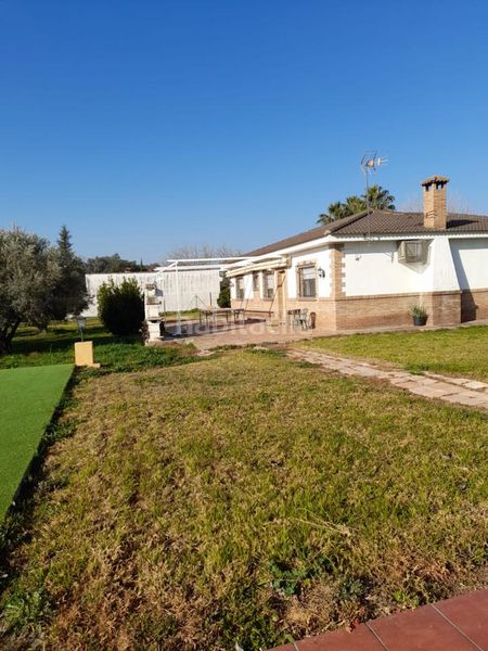 Foto 5efa2b2f-4c4d-4f67-b6d7-8aae0badc3b9. Casa amb piscina a Poniente-Norte - Miralbaida - Parque Azahara Córdoba
