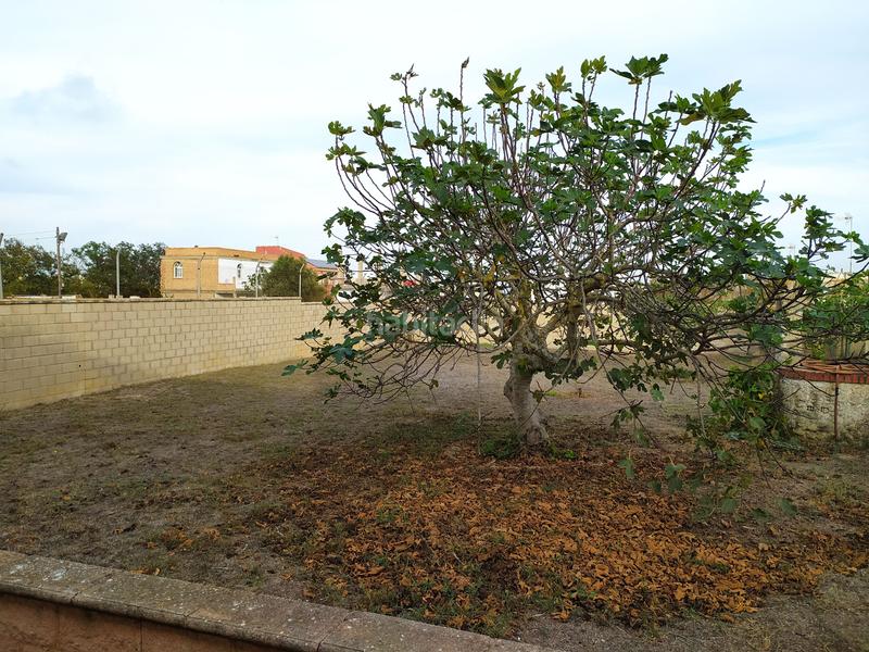 Foto 8ed262eb-7320-41fa-813f-014d6fe82e82. Doppelhaus in Camposoto - Gallineras San Fernando