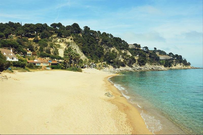 Foto b2ab979e-180c-498e-86d1-ca564408e7db. Terreny residencial a Santa Maria de Llorell Tossa de Mar