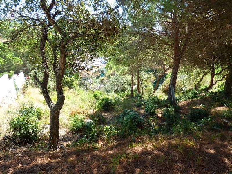 Foto 2466a3a1-207d-4aa2-9001-a4607d527137. Terreny residencial a Lloret Verd - Els Pinars Lloret de Mar