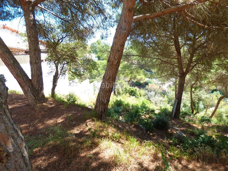 Foto 8cf5046d-e901-4213-aee4-8718bc061a81. Terreny residencial a Lloret Verd - Els Pinars Lloret de Mar
