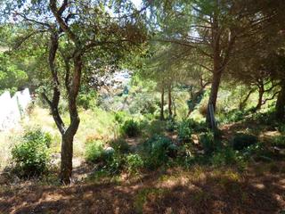 Terreny residencial a Lloret Verd - Els Pinars. Con vistas al mar