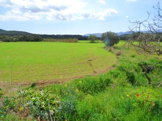 Bauernhof in Santa Cristina Poble. Masía en entorno tranquilo