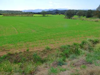 Masia a Santa Cristina Poble. Masía en entorno tranquilo