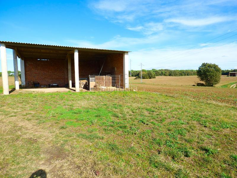 Foto 918a7d07-c138-44d3-964c-1247feee4561. Mas dans Sils