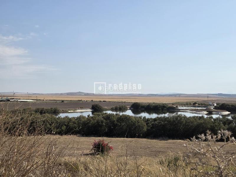 Foto fad4c85f-04c4-426e-91bd-3ad2d271fc71. Terreno residencial parcela urbana en venta martin miguel en Sanlúcar de Barrameda